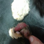 13524387_1069114349843675_8975818728392745417_n