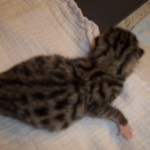 13690991_1083291645092612_6960434610424622530_o