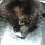 398a8bc2e3f7f879ff0986359513be80_XL