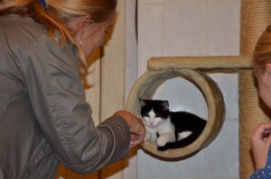 Katzenstation Muenchen