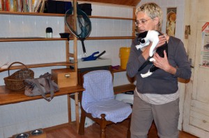 Katzenstation Muenchen