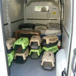 14022129_1115599978528445_856214411510821696_n