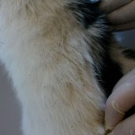 14022360_1115865265168583_2383431402687806008_n