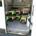 14095942_1115599988528444_4140544220857328187_n