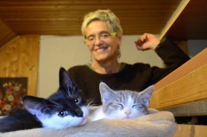 Katzenstation Muenchen