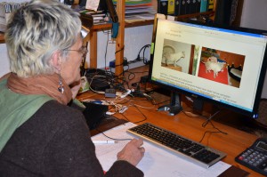 Katzenstation Muenchen