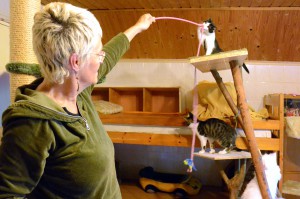 Katzenstation Muenchen