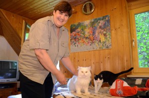 Katzenstation Muenchen