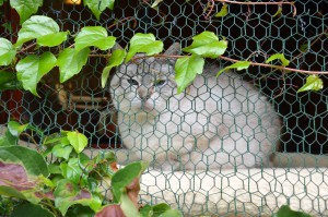 Katzenstation Muenchen