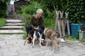 Katzenstation Muenchen