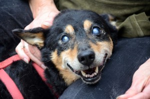 Katzenstation Muenchen