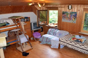 Katzenstation Muenchen