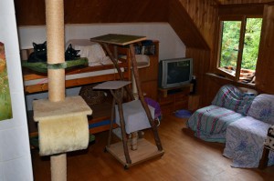 Katzenstation Muenchen