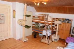 Katzenstation Muenchen