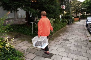 Katzenstation Muenchen