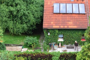 Katzenstation Muenchen