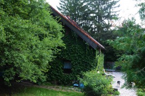 Katzenstation Muenchen