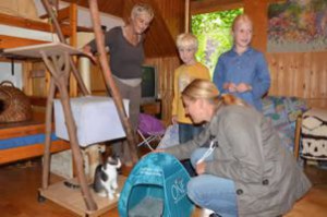 Katzenzimmer München