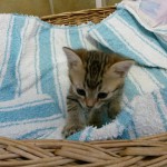 14344719_1138878246200618_5929036370372246173_n