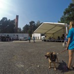 DCIM100GOPROGOPR8069.