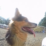 DCIM100GOPROGOPR8091.