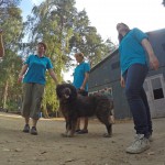 DCIM100GOPROGOPR8095.