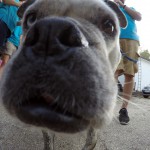 DCIM100GOPROGOPR8102.