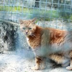 maxi_k289_15_201608-1