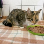 WhatsApp Image 2016-09-01 at 18.09.50