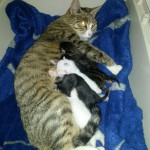 WhatsApp Image 2016-09-01 at 18.14.03