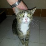 WhatsApp Image 2016-09-01 at 18.15.27