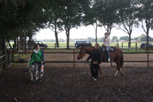 14457419_904565039687327_8385387152399736673_n