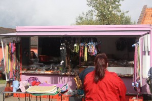 14462849_904565279687303_4078296858115471795_n