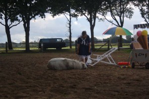 14470507_904565449687286_2772969544323674994_n