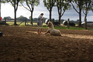 14470574_904565726353925_4454721022522250261_n