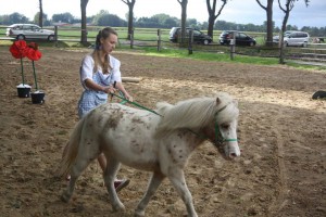 14485064_904565586353939_8809103467399841893_n