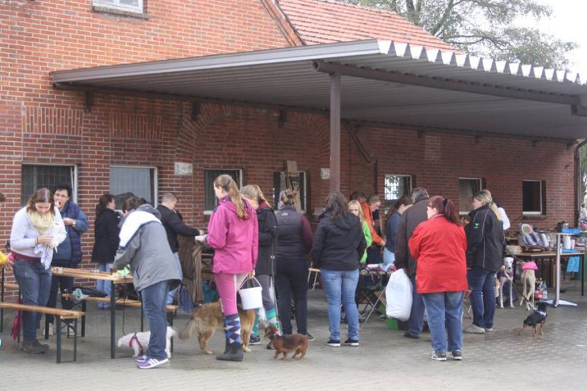 14494726_904565209687310_8744286311264391397_n