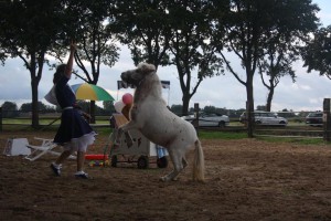 14517497_904565329687298_418049257625141950_n