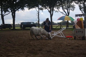 14517612_904565429687288_6300245305085284868_n