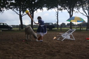 14563464_904565563020608_5873492571496805714_n