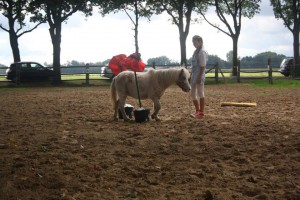 14581552_904565683020596_4138504219302293216_n