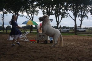 14590400_904565366353961_6195615531883931600_n