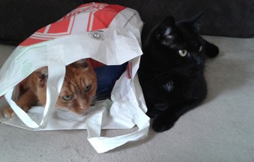 beitragsbild wunschzettel unterheinsdorf