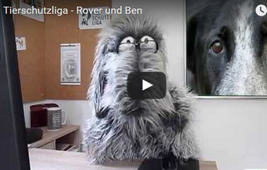 beitragsbild_roverundben1