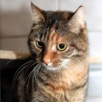 june_k149_15_201610-1