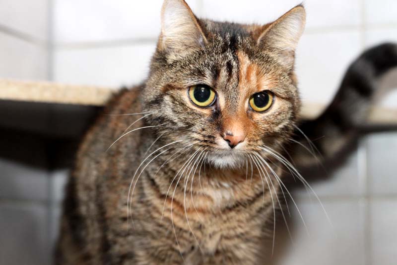 june_k149_15_201610-2