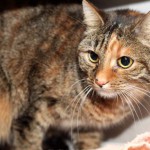 june_k149_15_201610-5