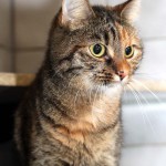 june_k149_15_201610-6