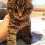 whatsapp-image-2016-11-03-at-16-49-07