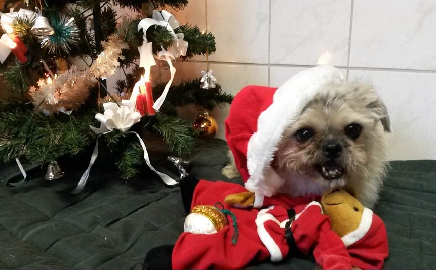 wichtel-wunschzettel